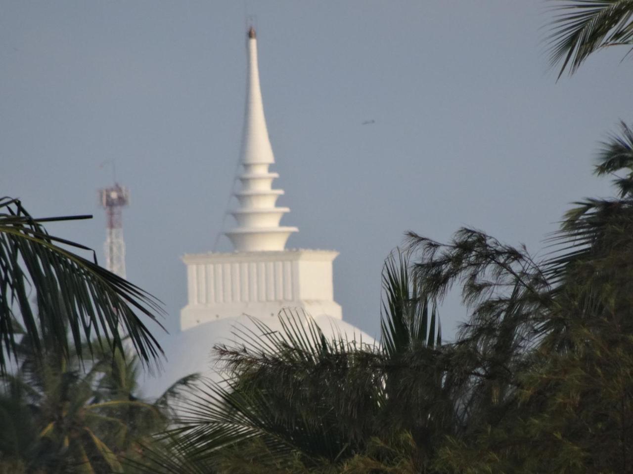 Amssler Beach Stay Kalutara Kültér fotó